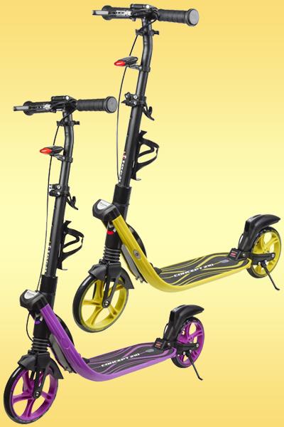Самокат Maraton Concept 210 - изображение 1