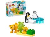 Конструктор Lego Duplo Семейства диких животных: Пингвины и Львы (10442) - изображение 1