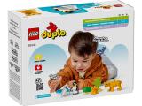 Конструктор Lego Duplo Семейства диких животных: Пингвины и Львы (10442) - изображение 6